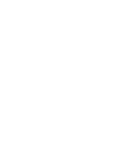 icon-flag